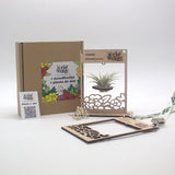 Acreditación + Planta de aire