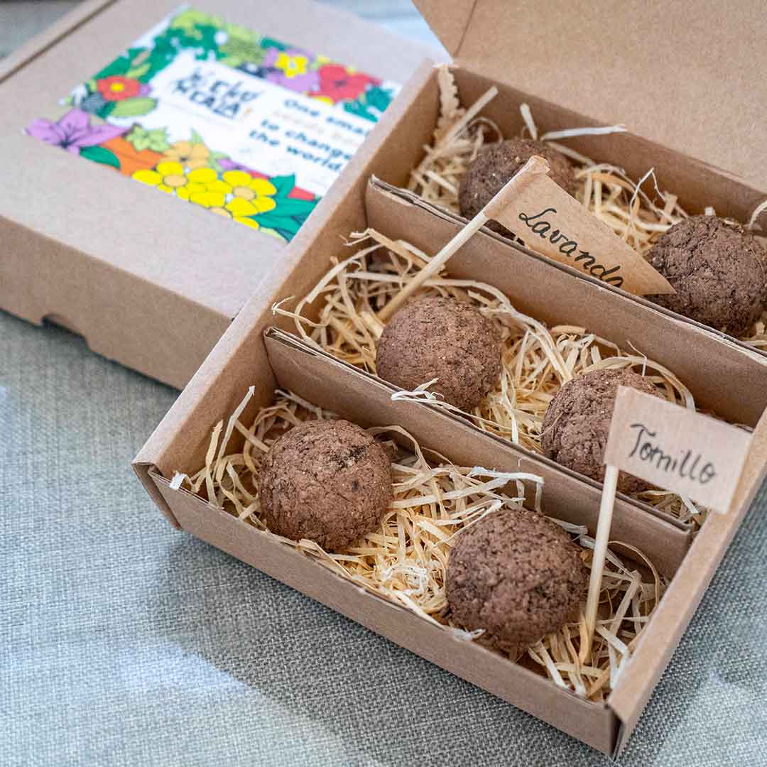 Bombas de semillas