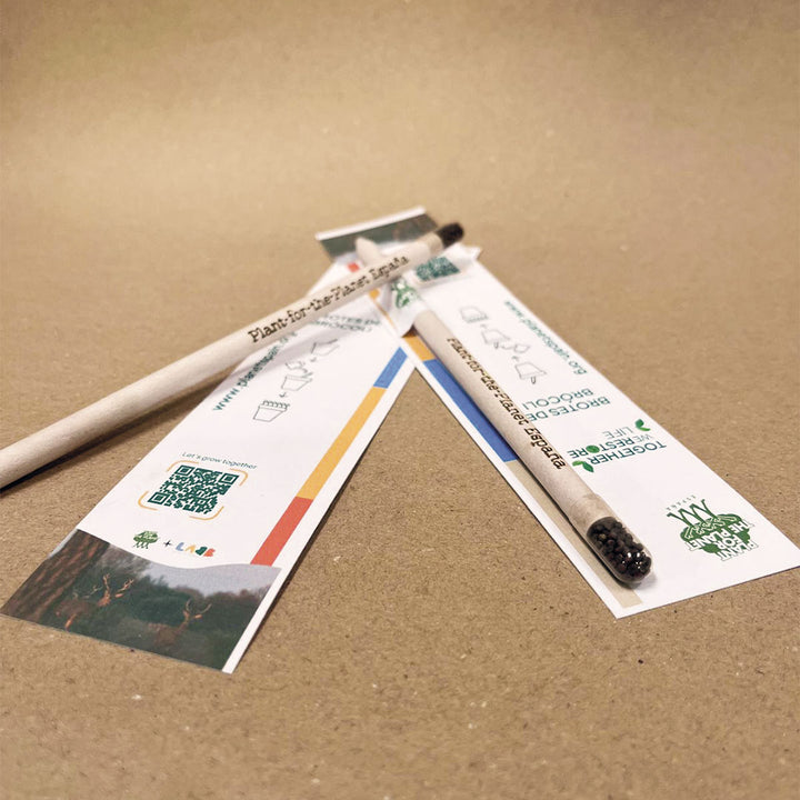 Lápices plantables