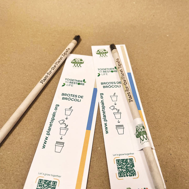Lápices plantables