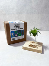 Planta de aire con alambre