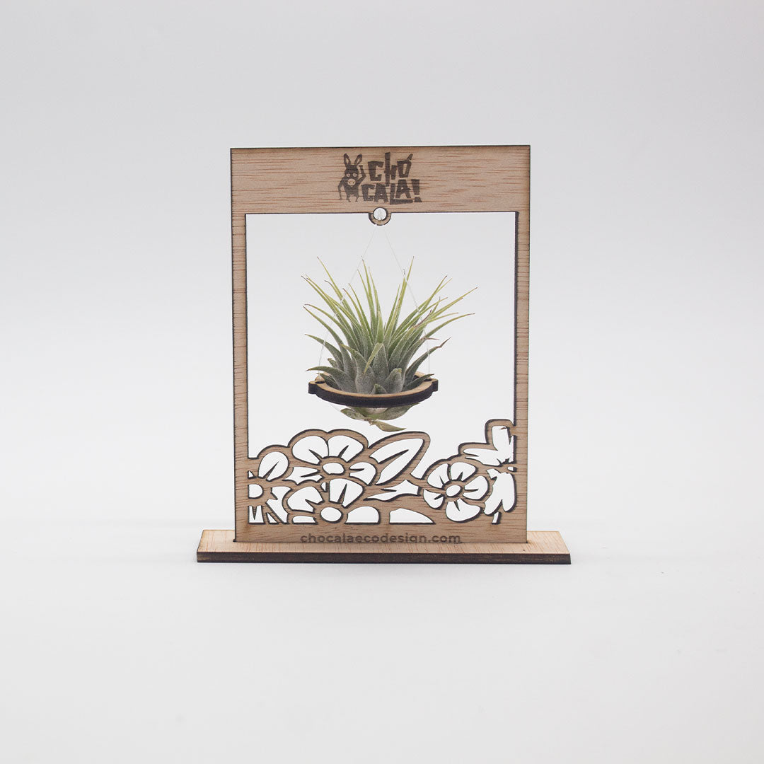 Planta de aire